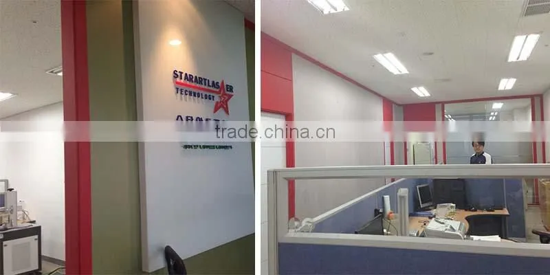 Movable Laser Welding Machine for Repairing Big Size Mold