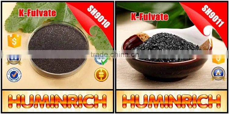 FAQ 8--How To Prevent And Treat Diseases Of Strawberry?