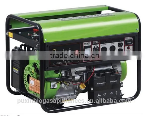 China Puxin Household 4m3 Biogas Anaerobic Digester