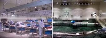 donkey slaughterhouse line donkey Pneumatic (Air-operated drive) Lifting Platform, Pneumatic Elevator donkey slaughter line