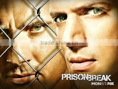 Prison Security Fence