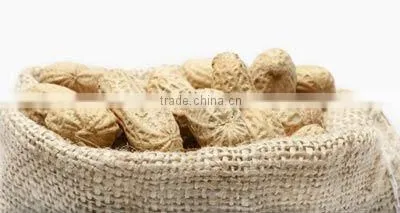 Roasted salted peanuts in shell