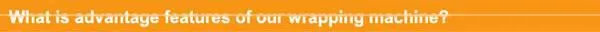 Chinese manufacturer best price mini style plastic film wrapping machine