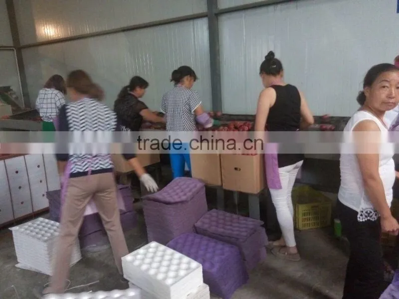 shanxi qinguan Apple