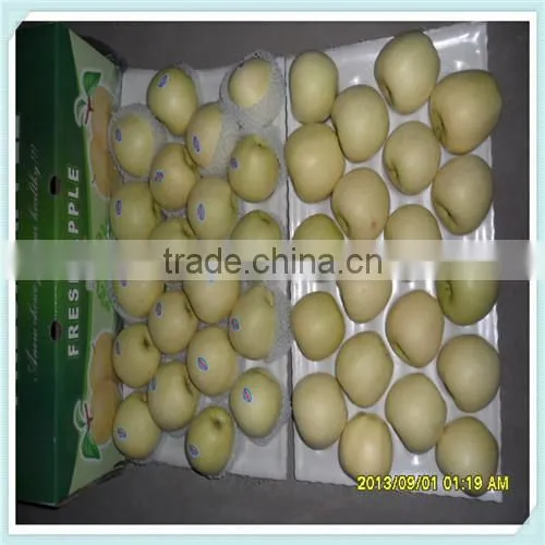 new crop 2015 Delicious Golden apple