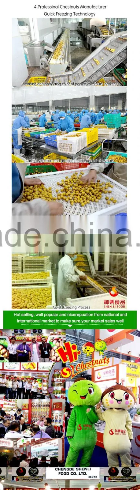 Hot sales IQF Chestnuts frozen chest nut