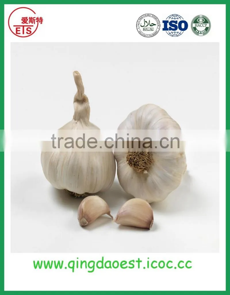 Chinese fresh strawberry for sale size: 22-28mm