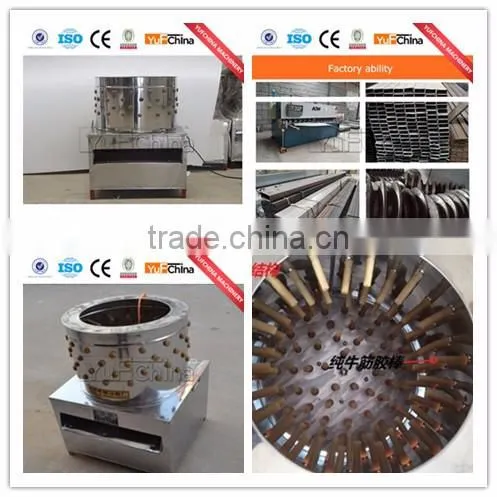 Automatic Chicken Plucker OF Kitchen Equipment