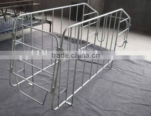 Pig Gestation Stall Good Quality For Pig Stall