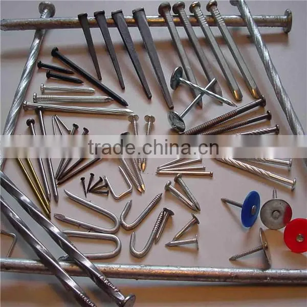 Building common wire nail, Construction Common nail iron nail factory