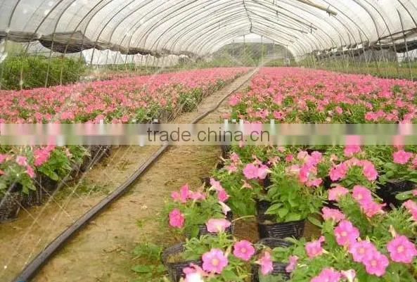 greenhouse mist irrigation system for flower