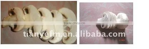 TW-907 Food Cutter with high good qulity (video)