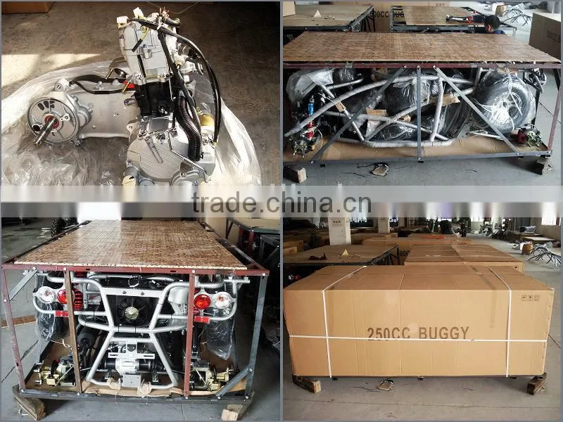 RENLI 250cc beach dune buggy