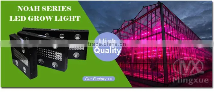 1200W Full Spectrum Indoor Plant, High Power 1200W