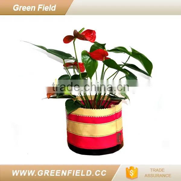 Canvas grow bag color custom flower pot