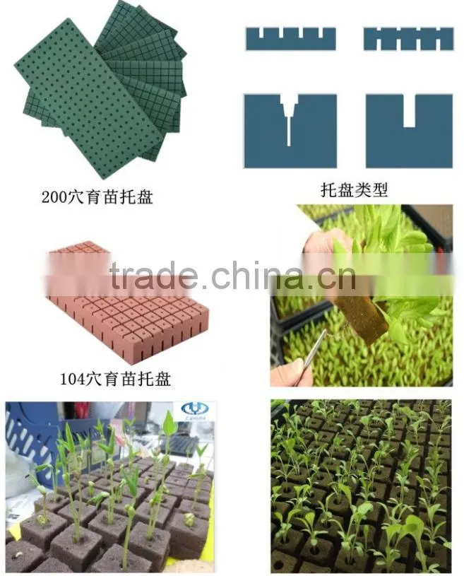 Greenhouse Used Without Fertilizer Soilless Culture Hydroponic Planting Sponge
