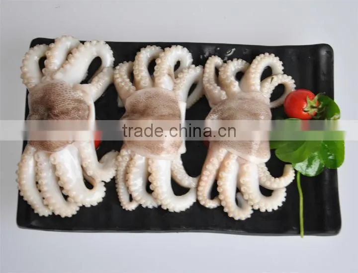 baby octopus cut