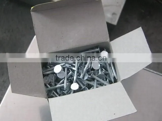 galvanized clout nails with flat head/ clout nail roofing nails