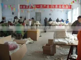 Shijiazhuang Xing Ji Fur Limited company overview - view 2