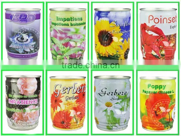 flower can,can flower,flower tin