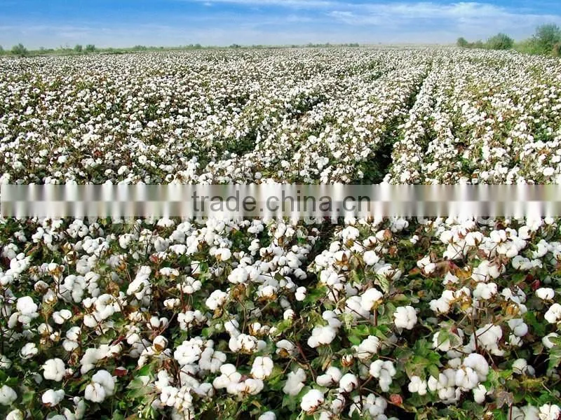 Popular in China cotton waste opening and tearing machine