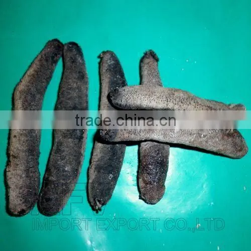 Dry Sea Cucumber Vietnam, Lolly Fish, Holothuria Atra