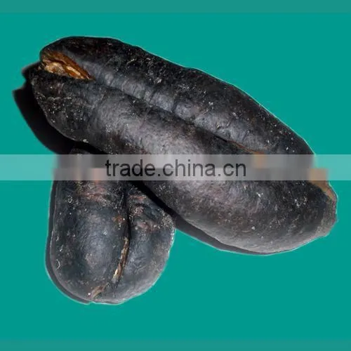 Sea Cucumber Vietnam, Pomegranate Fish, Actinopyga Lecanora