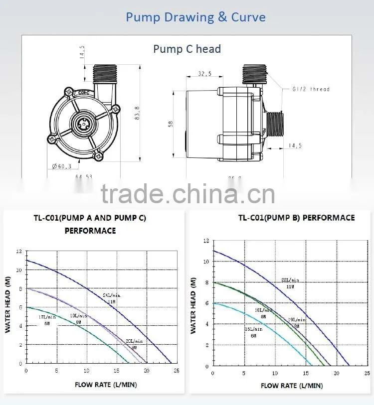 12v or 24v dc circulation brushless professional supplier of swimming pool water pump