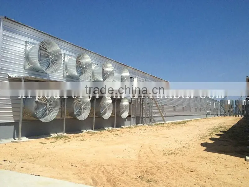 Full-auto Equipment with fan cooling pad for Poultry farm chicken house