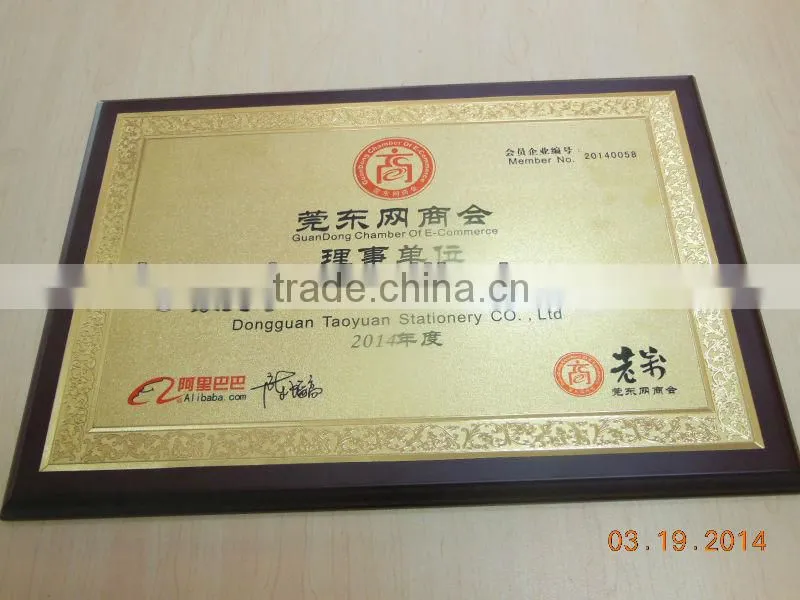 30 hole Plastic clip,office binding