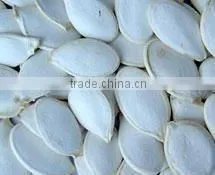 2010 white pumpkin seed