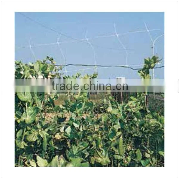 High quality green color climbing plant support net