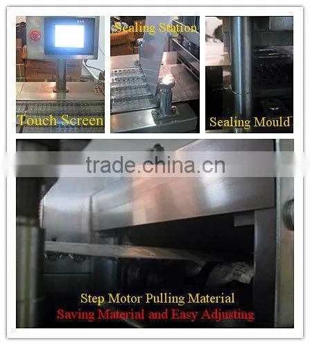 DPP-320 Automatic Aluminum Plastic Blister Forming Machine