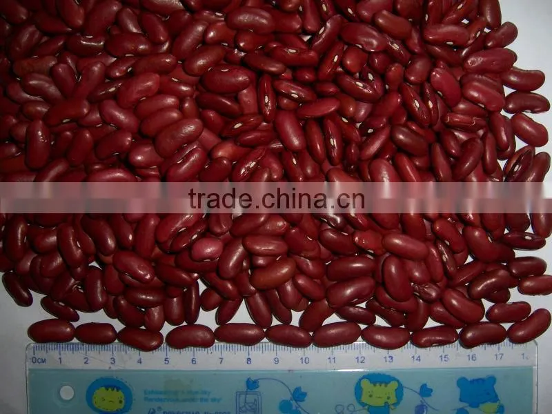 2015 new crop the british red kidney beans from China