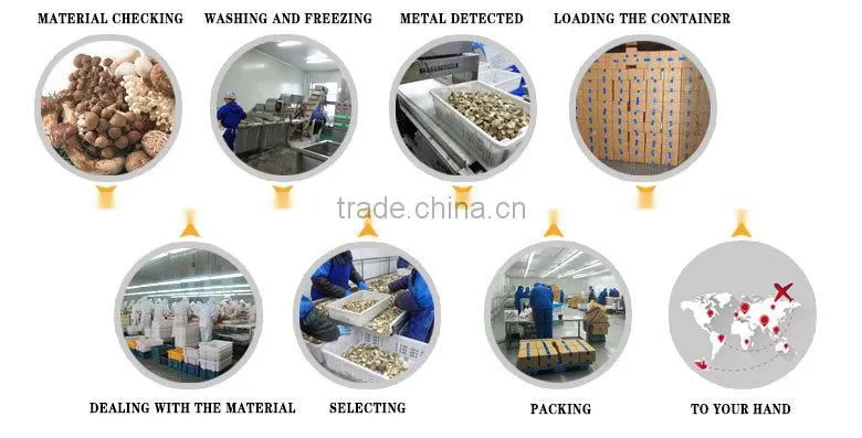 Common Cultivation wholesale fresh boletus mushroom