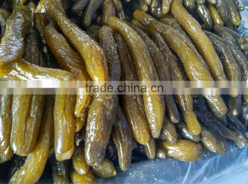 Good quality canned pickled cucumber slices