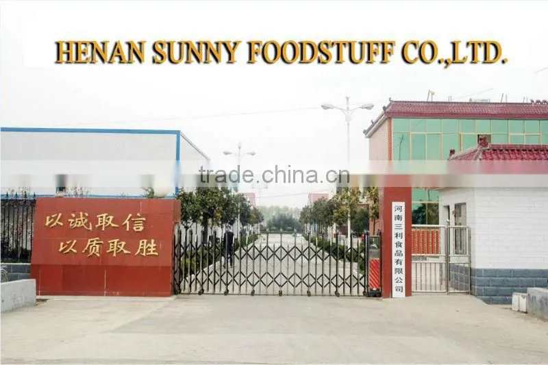 Pure White Onion Powder 100-120Mesh