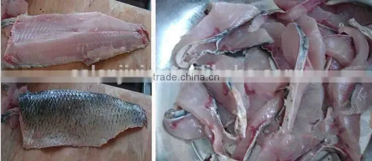 band saw frozen fish cutting machine/fish cutting machine price