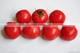 cassava peeler and slicer /cassava peeling machine