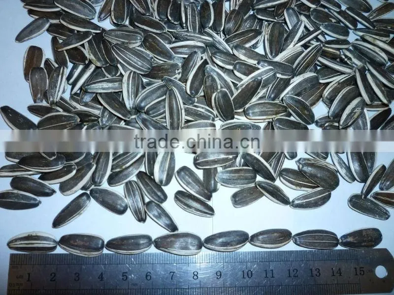 new crop Chinese Sunflower Seeds 5009,5135,20/64,22/64,24/64