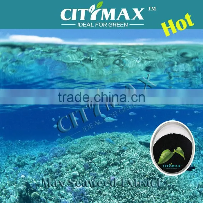 High Purity And Solubility Seaweed Extract price