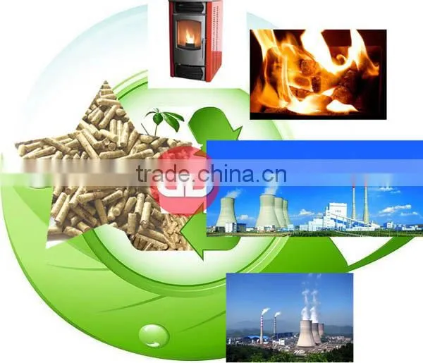 hot selling Factory supply wood sawdust pelletizer price