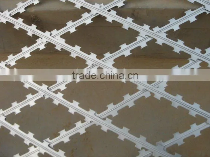 Galvanized concertina Wire/Iron Wire