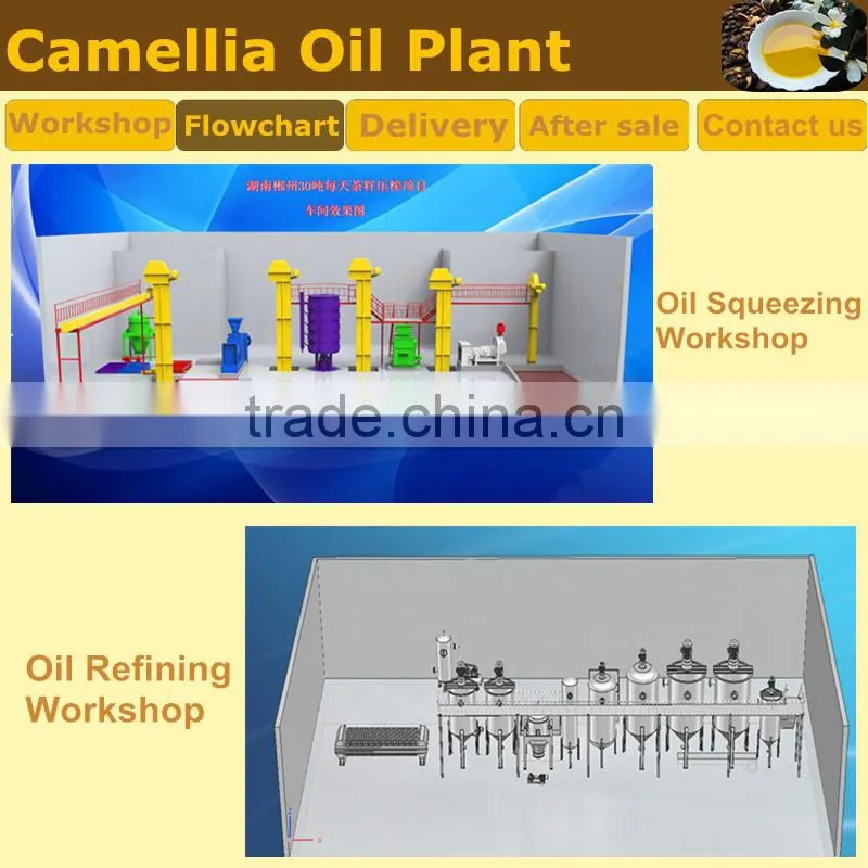 Hot Sale Green Tea Seed Oil Machine Processing Plant CE ISO