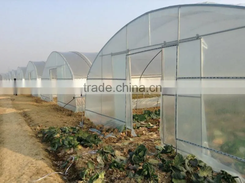 Galvanized Steel Frame Agricultural Greenhouse For Sale