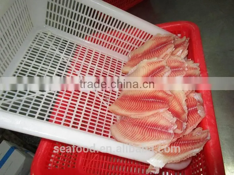 Frozen tilapia fillets china goods wholesale seafood