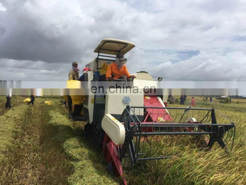 Self-propelled Whole-feeding 4LZ-4.0E big grain tank combine harvester wheat cutting machines with good price