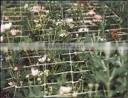 Trellis Netting, Trellis Mesh, Garden Trellis Net