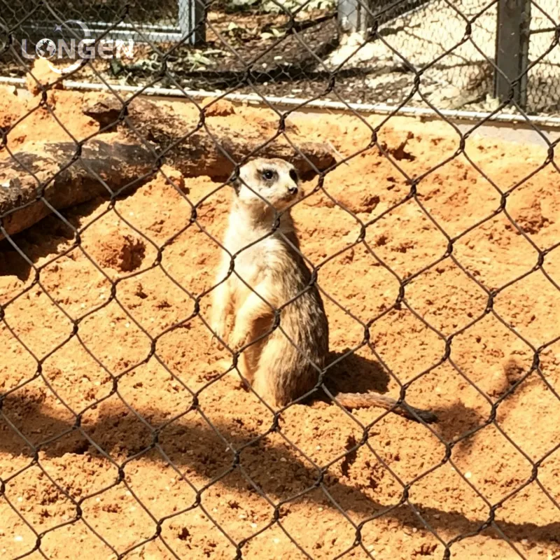 Meerkat Enclosure Mesh