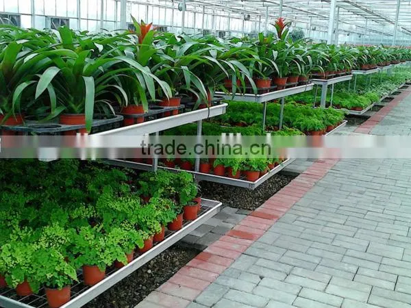 Professional Manufacturer Galvanized Steel Frame Greenhouse